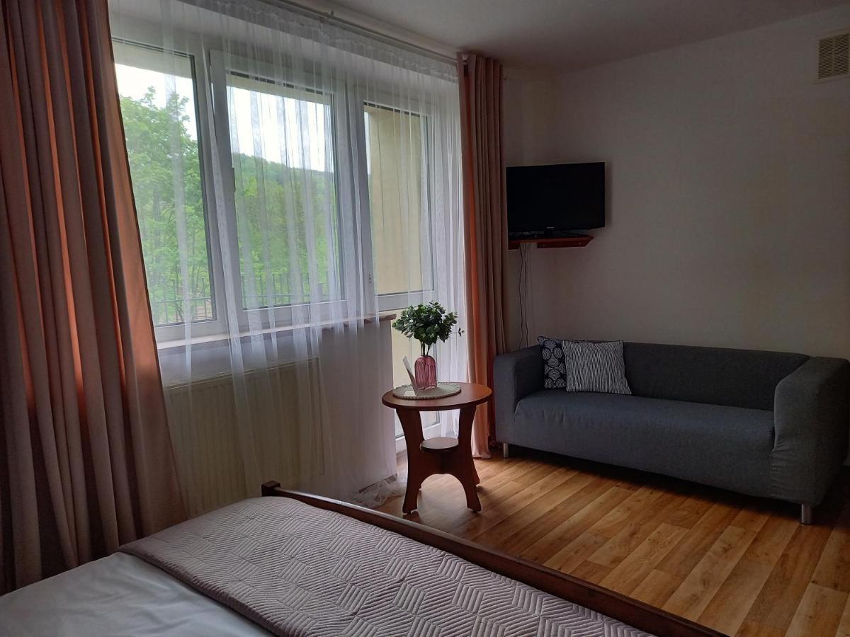 Apartamenty Agat Pieszyce Kültér fotó