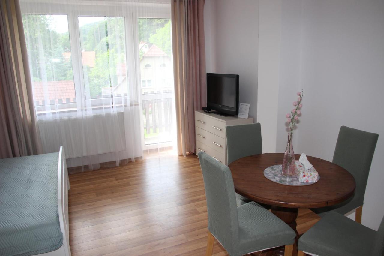 Apartamenty Agat Pieszyce Kültér fotó